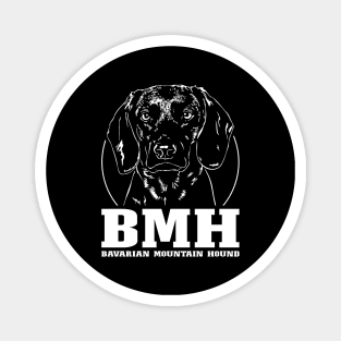 Bavarian Mountain Hound hunting dog portrait Magnet